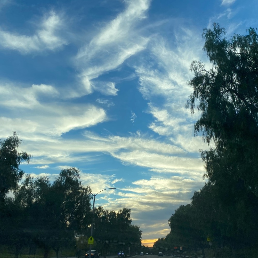 Meet your Posher, Alice